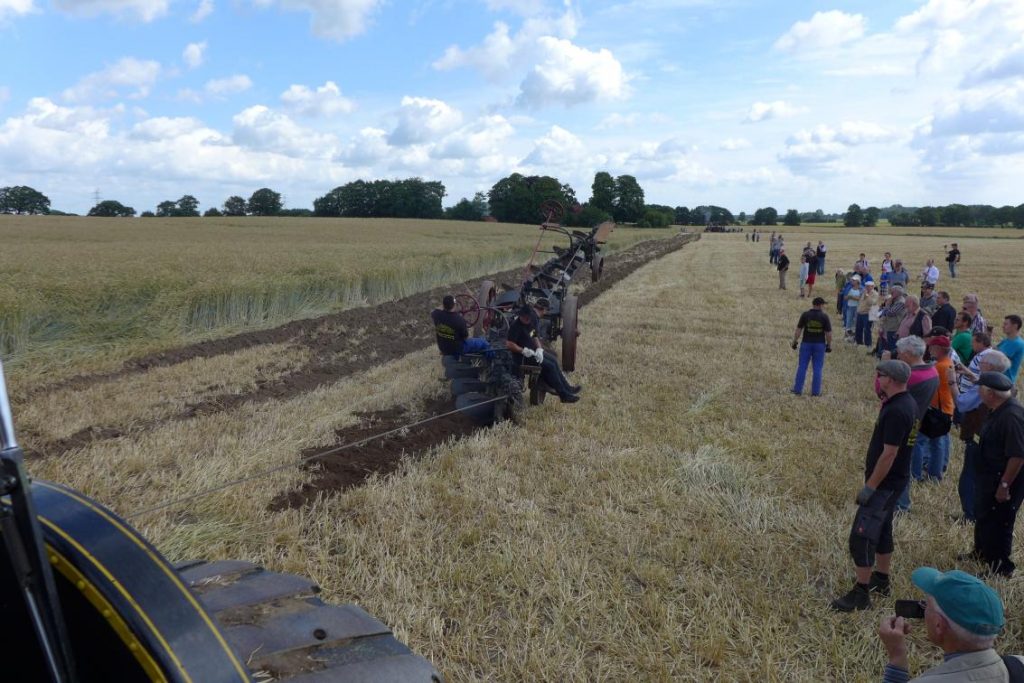 2015-07-18_hassmoor_dampfpfluegen_015