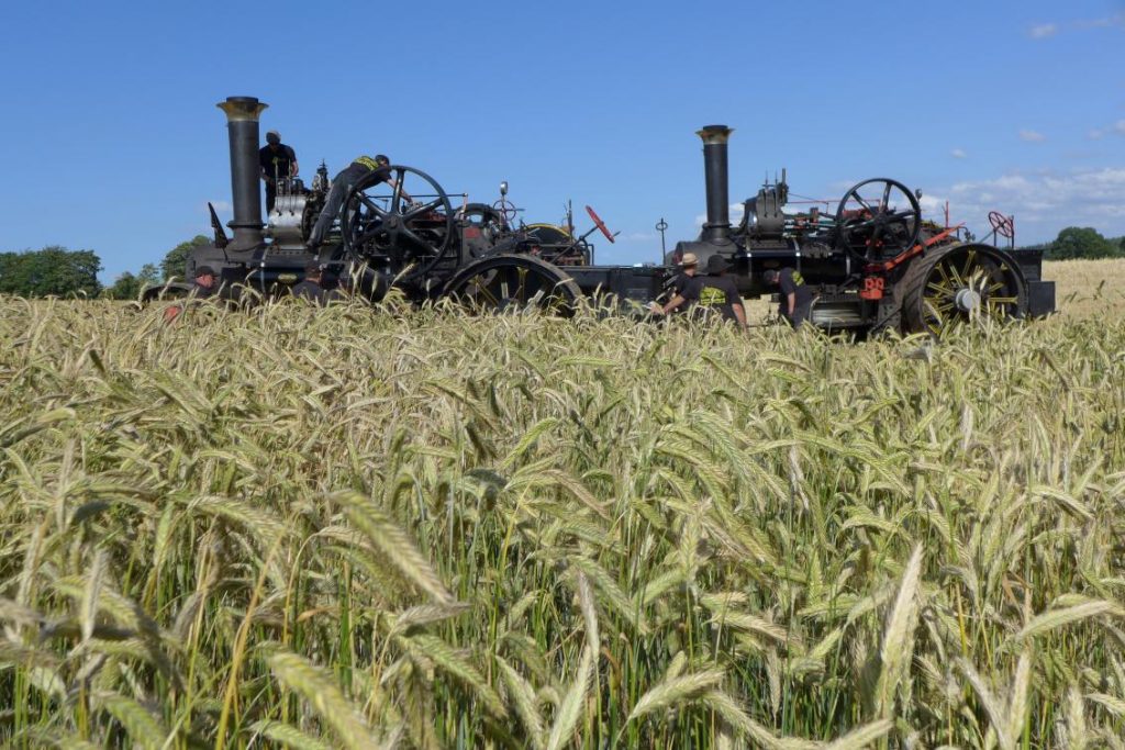 2015-07-18_hassmoor_dampfpfluegen_017